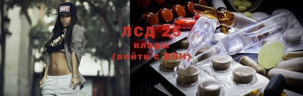молекула духа Бугульма