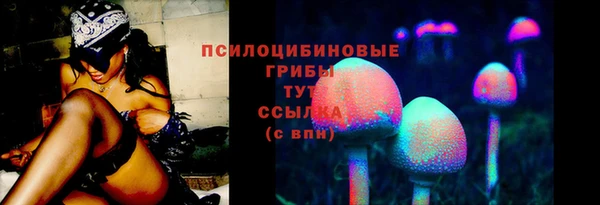 молекула духа Бугульма