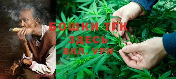 молекула духа Бугульма